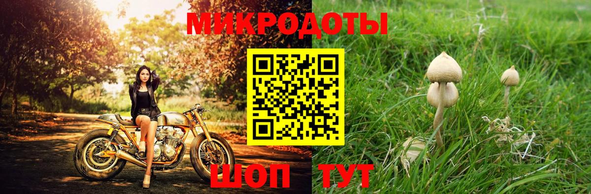 Арсеньев  Галлюциногенные грибы GOLDEN TEACHER  Вход с VPN 